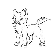 A young warrior cat coloring picture