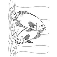 Fish Couple coloring page