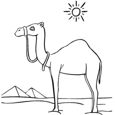 Arabian camel coloring page