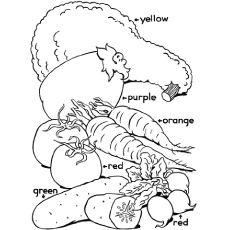 Fresh Bunch of Vegetables Coloring Page