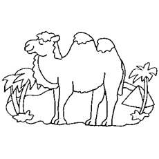 Camel Alone coloring page