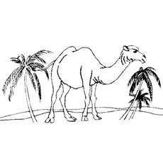 Camel And Palm Tree coloring page