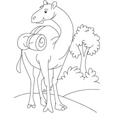 Coloring Page Of Camel Infront Of Tree