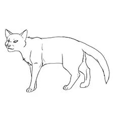 Cat Lineart By Mireille Coloring Pages