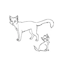 Coloring Pages Of Cat template