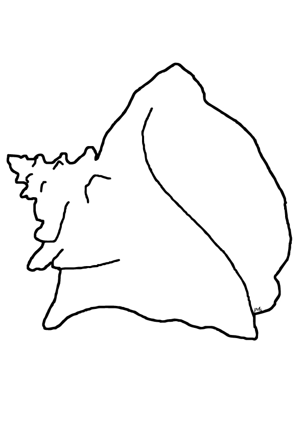 coloring-page-queen-conch
