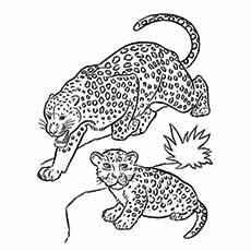 Top 25 Free Printable Leopard Coloring Pages Online