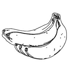 five-bananas