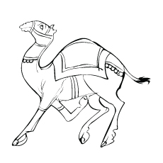 Indian Traditional Camel coloring page
