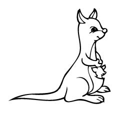 baby kangaroo coloring pages