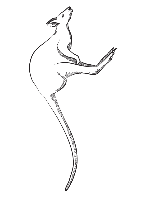 kangaroo-jumping