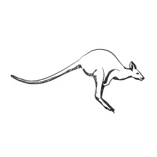 Coloring page of kangaroo jumping