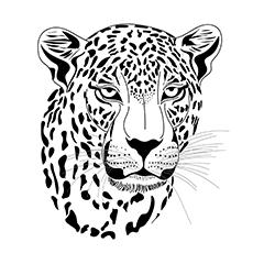 Leopard Executed coloring page