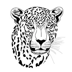 Leopard Executed coloring page