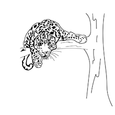 Lurker Leopard coloring page