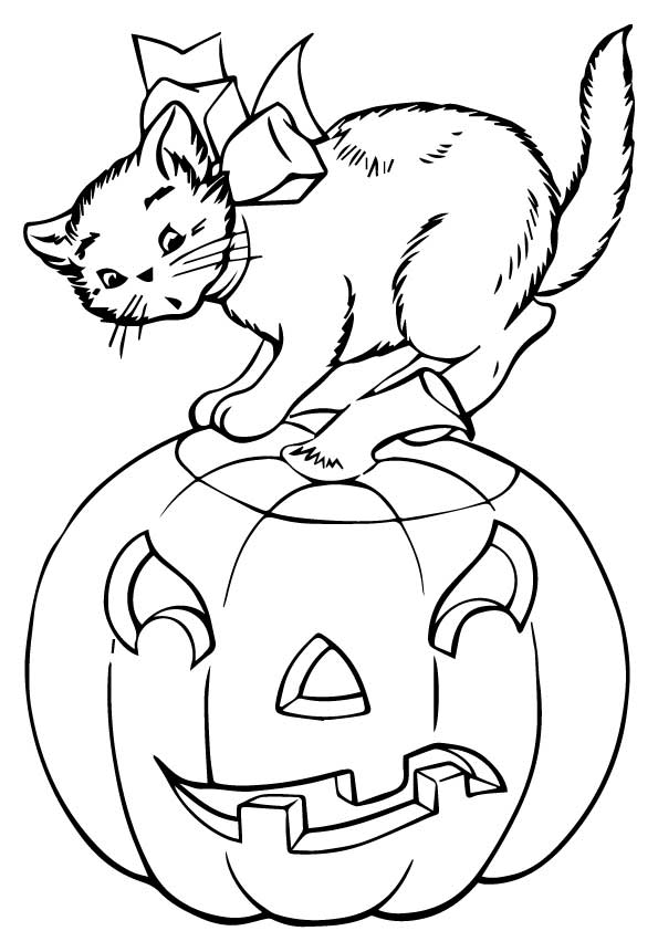 pumpkin-cat