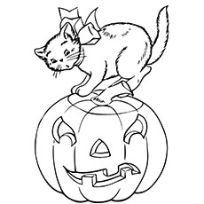 Coloring page of cat on the pumpkin