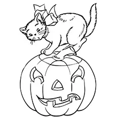 Coloring page of cat on the pumpkin_image