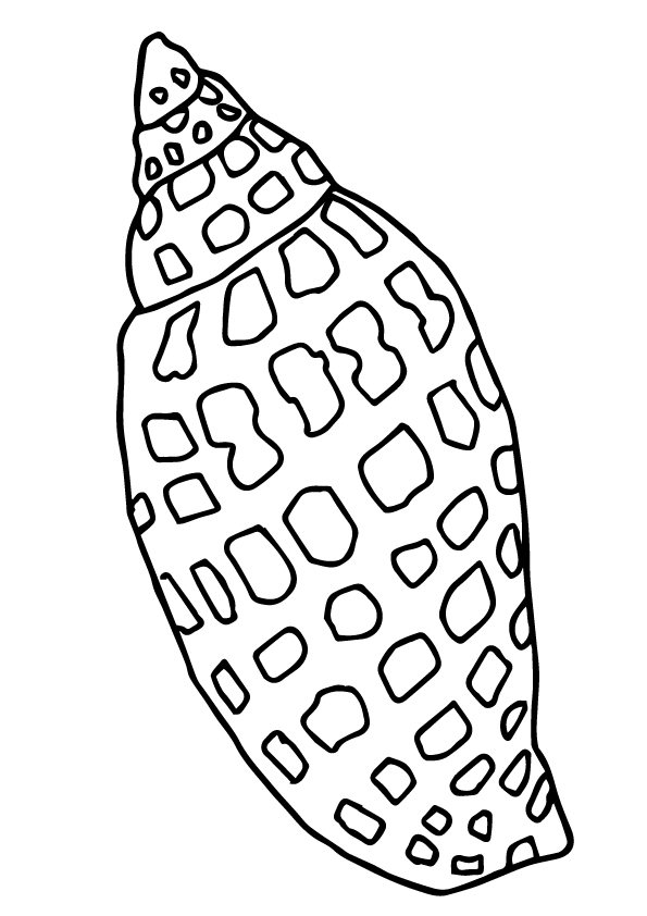 shell-coloring-page
