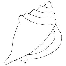 Single shell coloring page