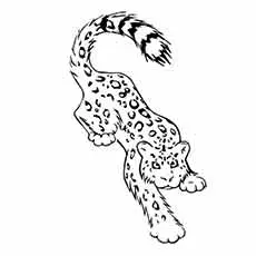 Snow Leopard Tatoo coloring page