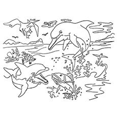 Jumping fish coloring page