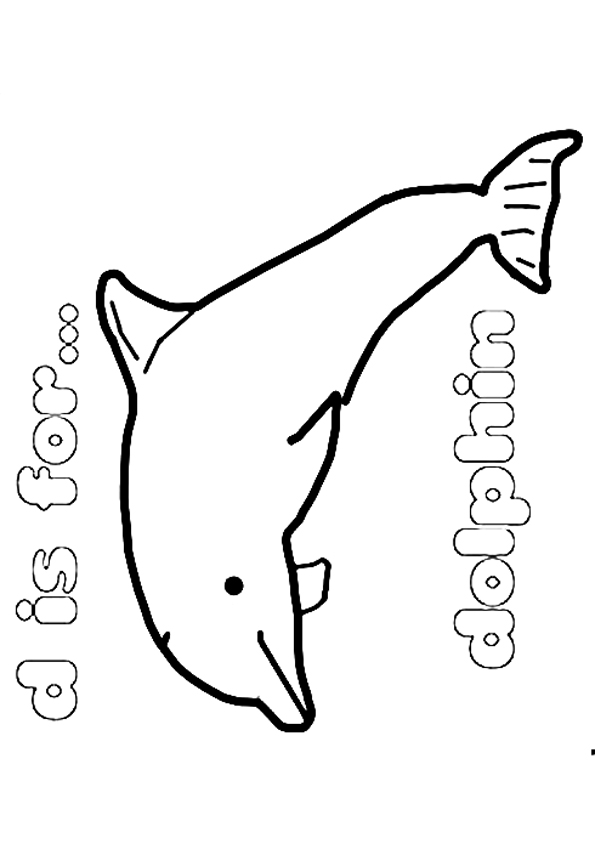 the-dolphin