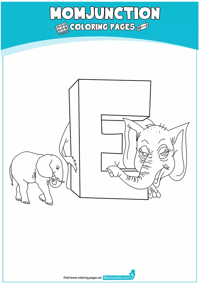 the-e-for-elephant-16