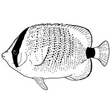 Top 10 Free Printable Tropical Fish Coloring Pages Online