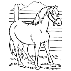 The Horse Coloring Pages