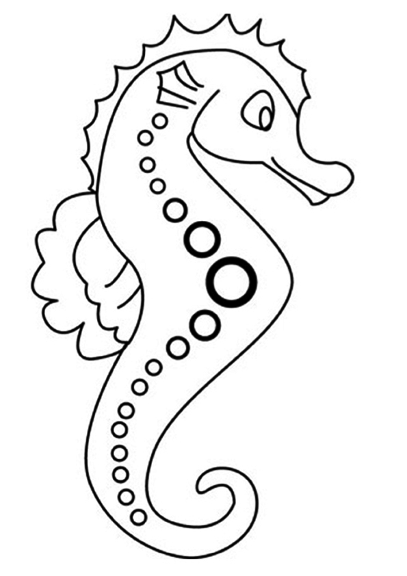 the-ride-on-a-seahorse