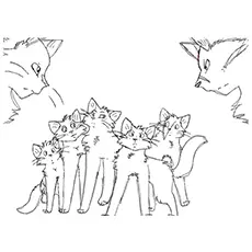 The Great Grey wolf warrior cat coloring page