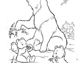 10 Cute Polar Bear Coloring Pages For Your Little Ones