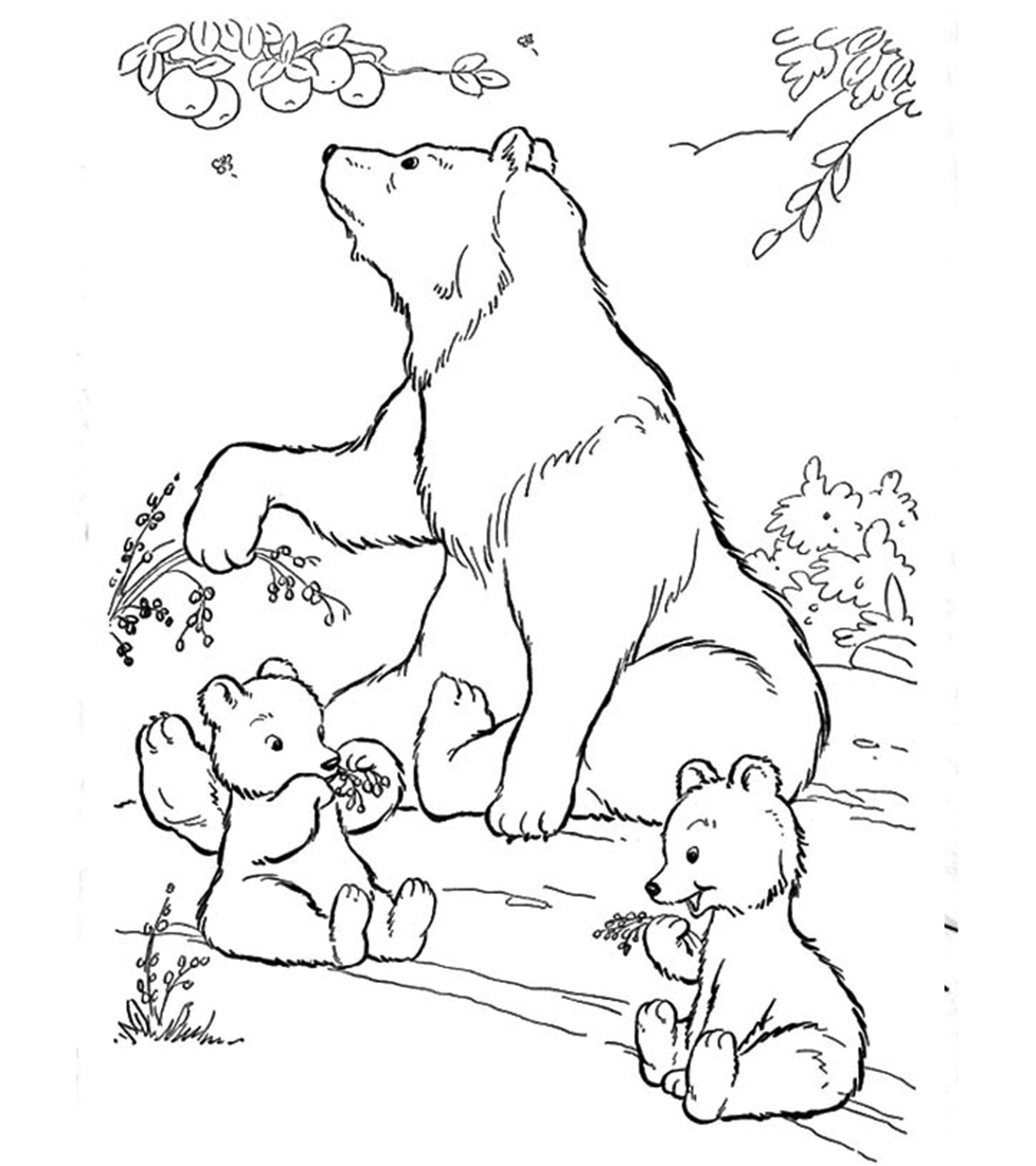 Top 10 Free Printable Polar Bear Coloring Pages Online