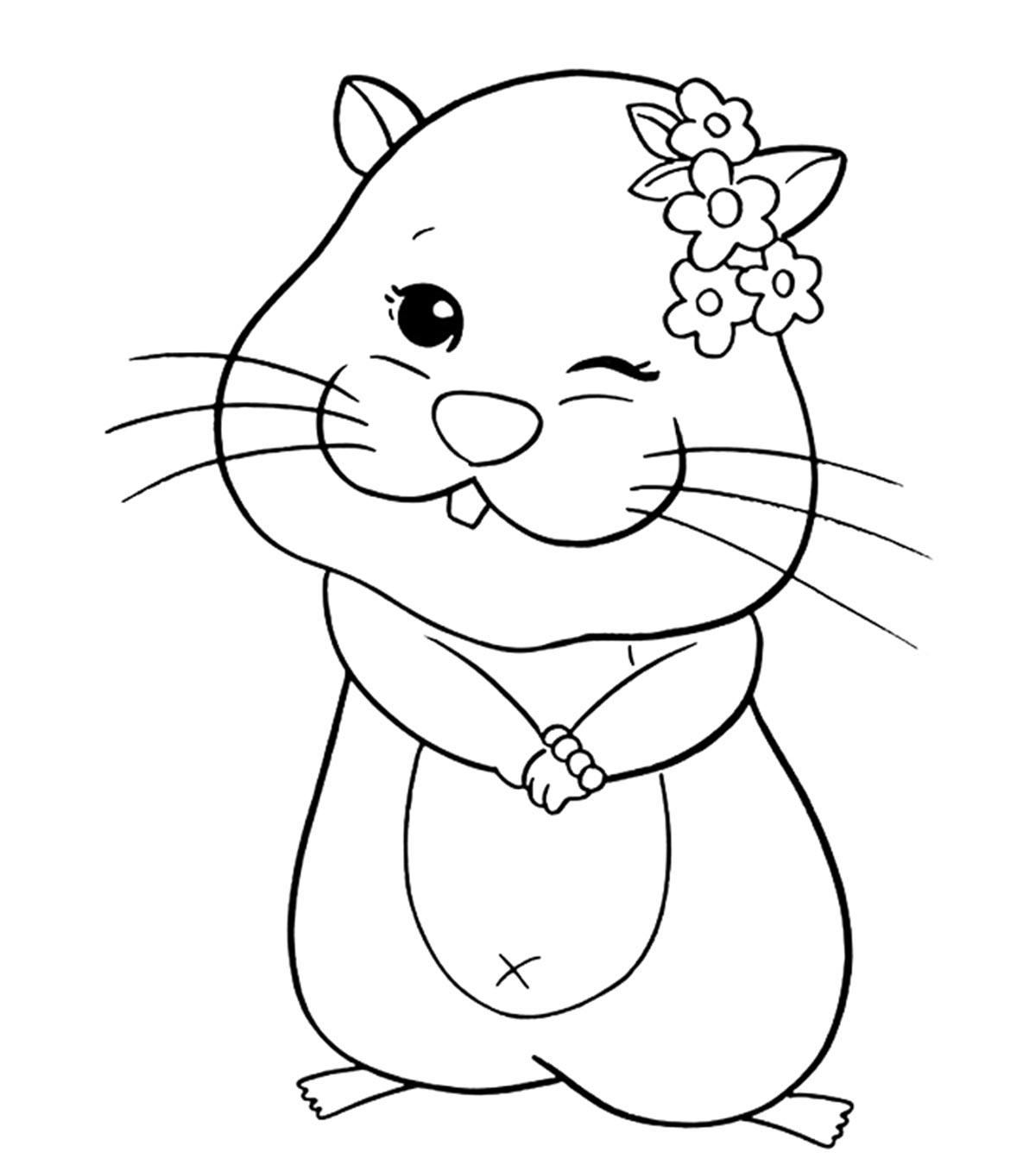 850 Cartoon Hamster Coloring Pages  Images