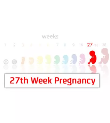 27th Week Pregnancy Symptoms, Baby Development And Bodily Changes