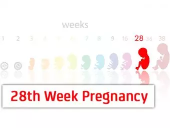 28 Weeks Pregnant: Symptoms, Baby Development And Changes