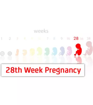 28th Week Pregnancy - Symptoms, Baby Development, Tips And Body Changes