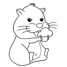 A best hamster coloring pages