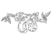 A tree branch with a snake coloring page