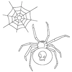 Skull drawing on a spider coloring page