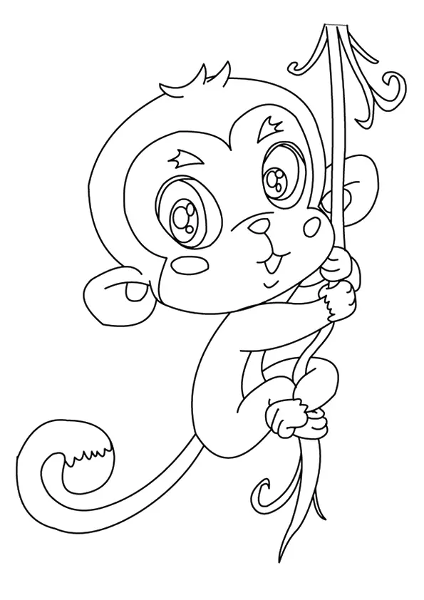 A-Squirrel-Monkeys