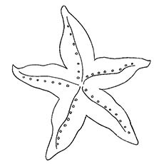 A simple starfish coloring pages
