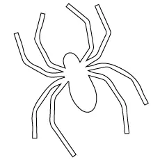 Simple spider coloring page