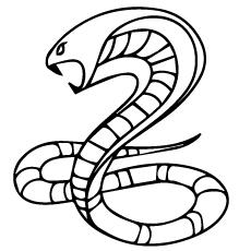 Cobra snake coloring page