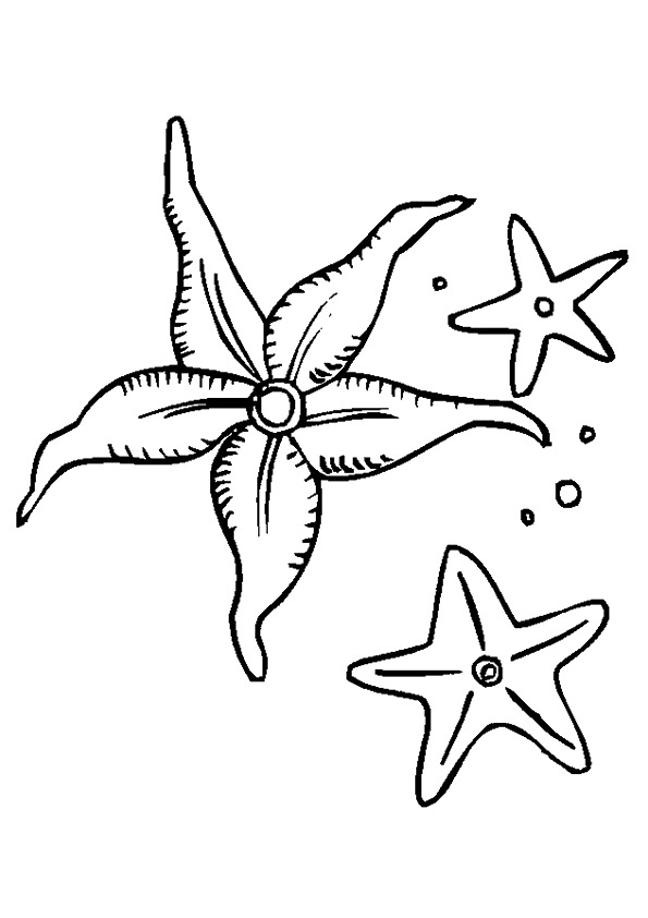 A-starfishes
