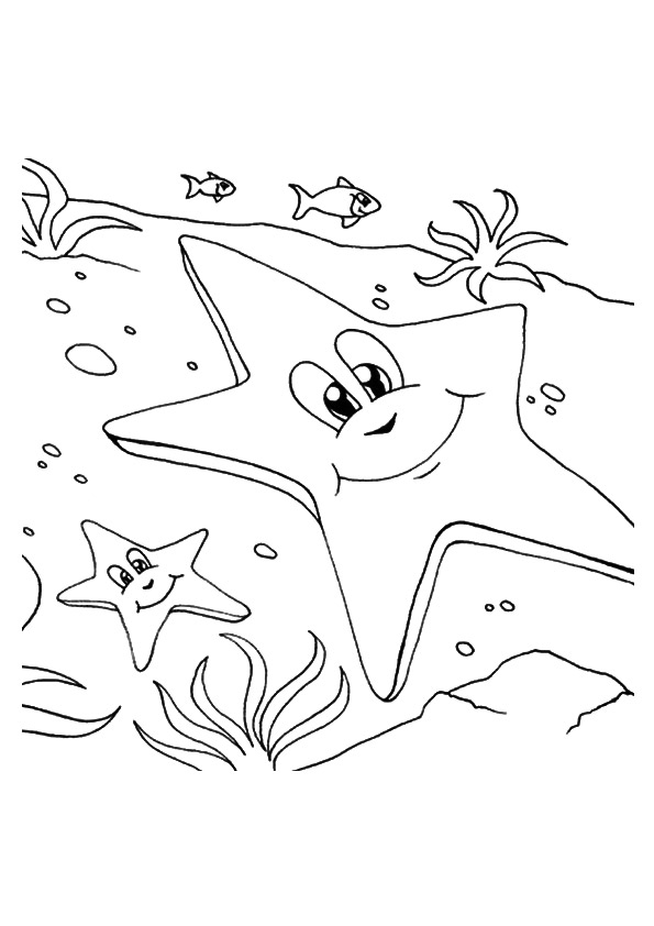 A-starfishes-on-the-shore