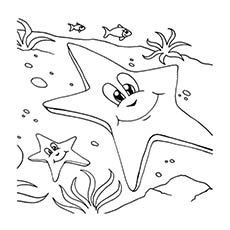 Starfishes on the seashore, Starfish coloring pages