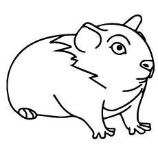 Top 25 Free Printable Guinea Pig Coloring Pages Online