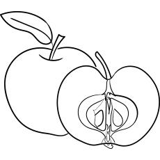 980 Apple Coloring Pages Printable For Free